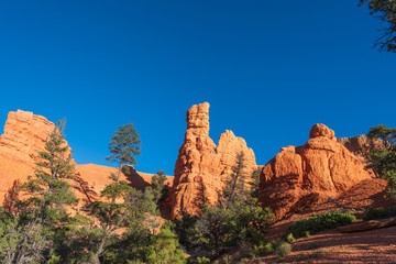 Bryce Canyon National Park low angle landscape of red hoodoos and rock formations