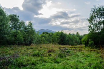 Bieszczady