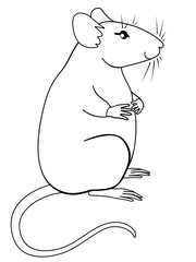 A cute fat gray rat is sitting. The symbol 2020 is a rat. Decorative rat - lovely pet - linear vector illustration for coloring.
