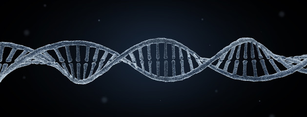 DNA molecule
