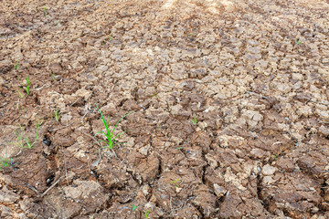 Land with dry and cracked ground,for ecology concept design background