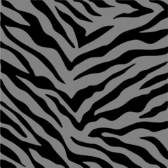 Zebra skin, stripes pattern. Animal print, black and white detailed and realistic texture.