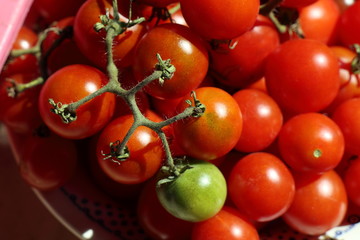 Closeup of tomatoes 
