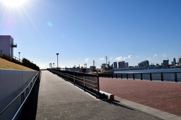 Fototapeta premium 豊洲ぐるり公園 芝浦ふ頭方面