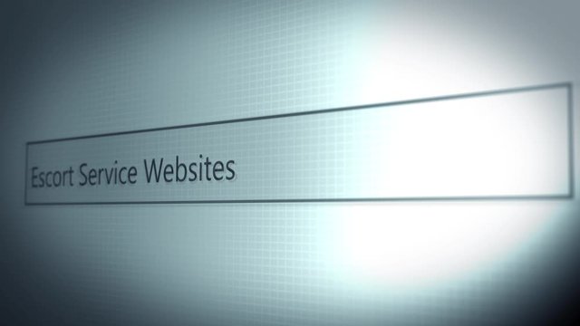 Computer Technology Forensic series - Escort Service Search Result