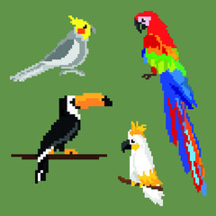 Obraz premium a large set of parrots, ara toucan and cockatoo. pixel graphics
