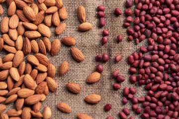 Almonds and Peanuts Are An Excellent Source Of Proteins