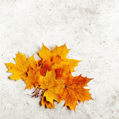 Yellow leaves flat lay