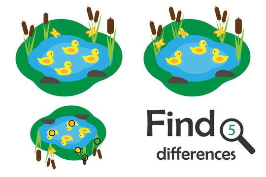 Find 5 differences, game for children, pond with ducks in cartoon style, education game for kids, preschool worksheet activity, task for the development of logical thinking, vector illustration