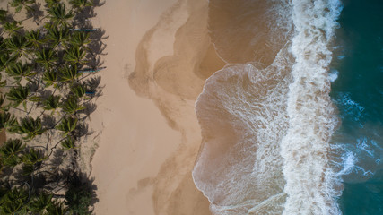 Ariel view of waves crashing on to the beach in Sri Lanka with palm tress at the edge of the beach