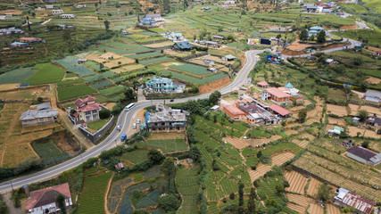 A road running through central sri lanka with tea and other plantations on either side
