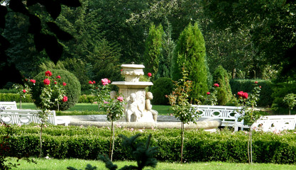 Zielony plac w centrum parku z fontanną - obrazy, fototapety, plakaty