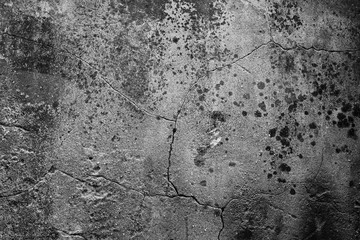 Beautiful vintage background. Abstract grunge decorative stucco wall texture. Wide rough background with copy space for text.