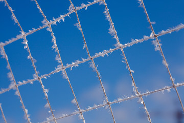 The frost on the net football goal.