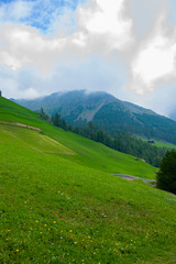 Fototapeta na wymiar Alto Adige landscape