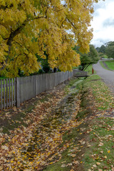 Naklejka premium Port Arthur Park in Tasmania, Australia. 