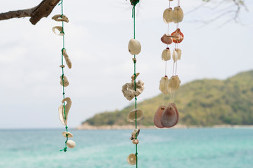 Shalls hangling at the tropical seaside