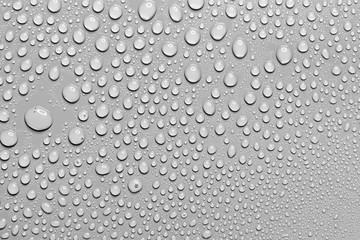 Fresh water drops, light gray background.