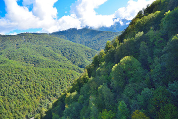 Fototapeta premium Autumn in the mountains of the Caucasus.