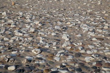 Steine am Sandstrand