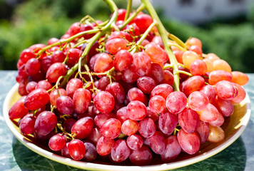 .beautiful bunch of ripe wine grapes