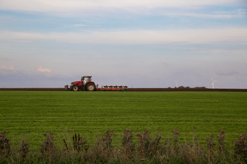 Fototapeta premium Roter Trecker plügt grünes Feld mit blauem Himmel