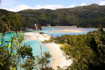 View beyond tree branches on bay with white sandbank in turquoise water and green mountains background - Abel Tasman national park, New Zealand