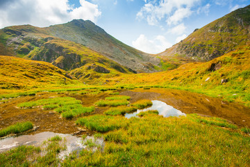 lake or swamp in the mountain