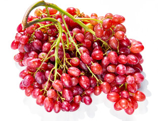 .beautiful bunch of ripe wine grapes