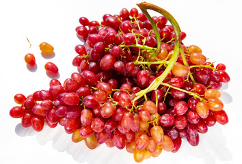 .beautiful bunch of ripe wine grapes