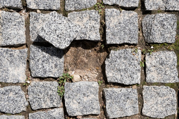 Repair of granite pavement. Top view of cobblestone.