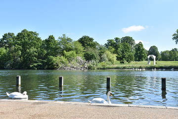 Serpentine Lake, Hyde Park, London