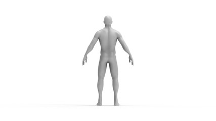 Human body 3d rendering of a human body isolated in white background