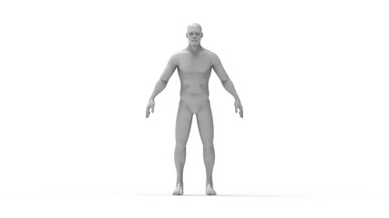 Human body 3d rendering of a human body isolated in white background