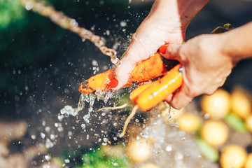 woman hands Washing a bunch of carrots under water outdoor summer