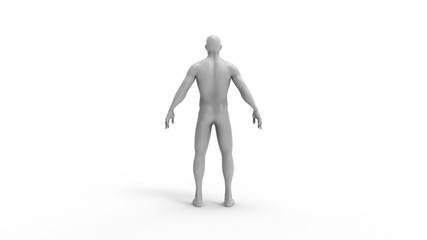 Human body 3d rendering of a human body isolated in white background
