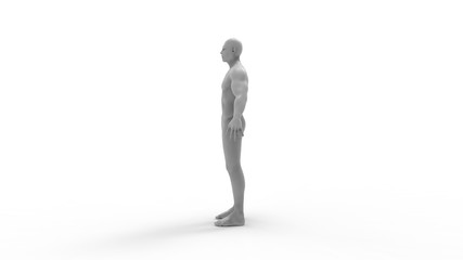 Human body 3d rendering of a human body isolated in white background