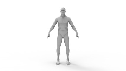 Human body 3d rendering of a human body isolated in white background