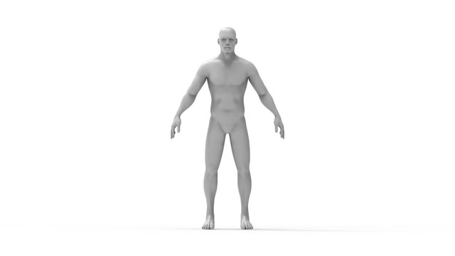 Human body 3d rendering of a human body isolated in white background