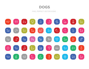 50 dogs colorful outline icons set. can be use for web mobile