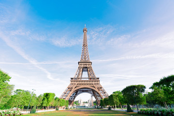 Fototapeta premium eiffel tour and Paris cityscape