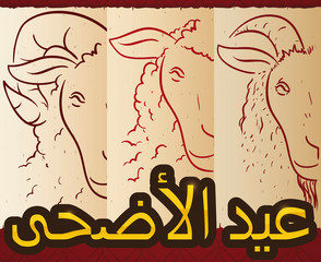 Scrolls with Animals for Sacrifice in the Eid al-Adha, Vector Illustration