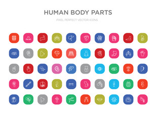 50 human body parts colorful outline icons set. can be use for web mobile