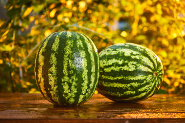 Fresh ripe striped watermelon on wooden table with blurred garden sunset background. Food, Fruits or healthcare concept.