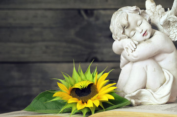 Close up of guardian angel and sunflower