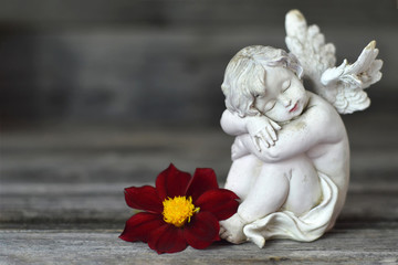 Angel and flower on wooden background
