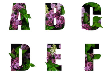 Letters A B C D E F of beautiful flowers and branches of orchids