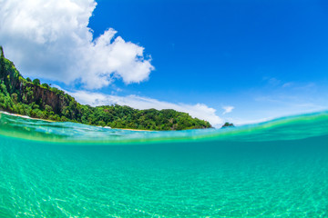 Underwater shot of paradise in Fernando de Noronha Brazil