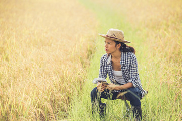The farmer is in the rice field and takes care of her rice.