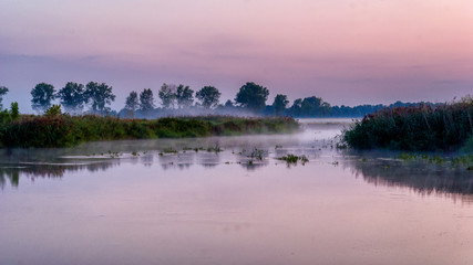 Letni poranek w Dolinie Narwi, Podlasie, Polska © podlaski49